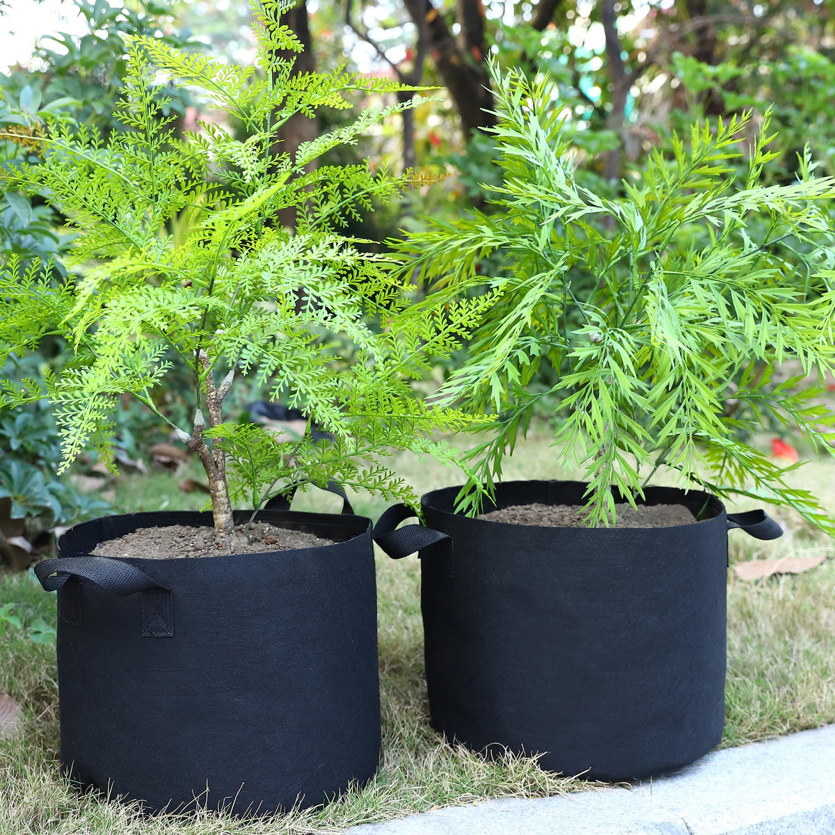 OPPOLIFE garden setup using grow bags for movable, efficient planting