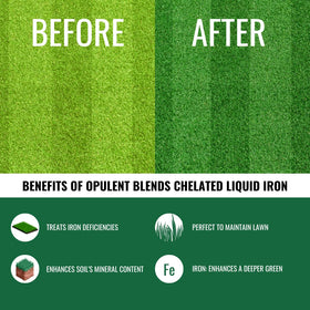 Opulent Blends chelated liquid iron lawn greening enhances quick color and lasting vitality.