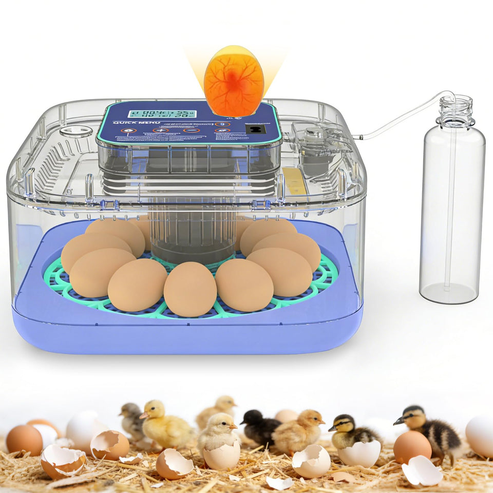 Oqioprd incubator with digital display shows stable temperature and humidity at a glance.