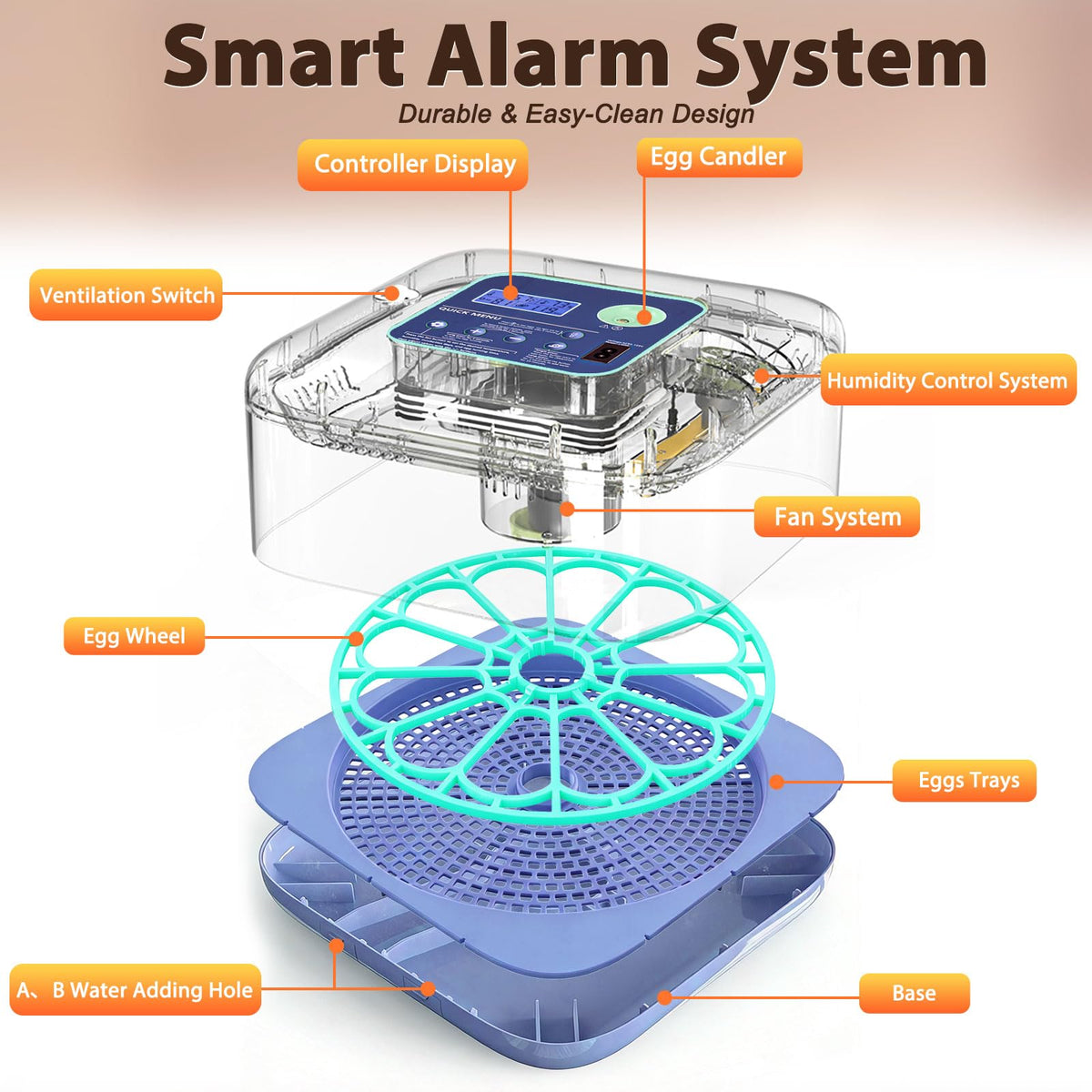 Oqioprd incubator operates with low noise suitable for classroom or home use.