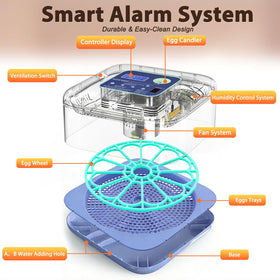 Oqioprd incubator operates with low noise suitable for classroom or home use.