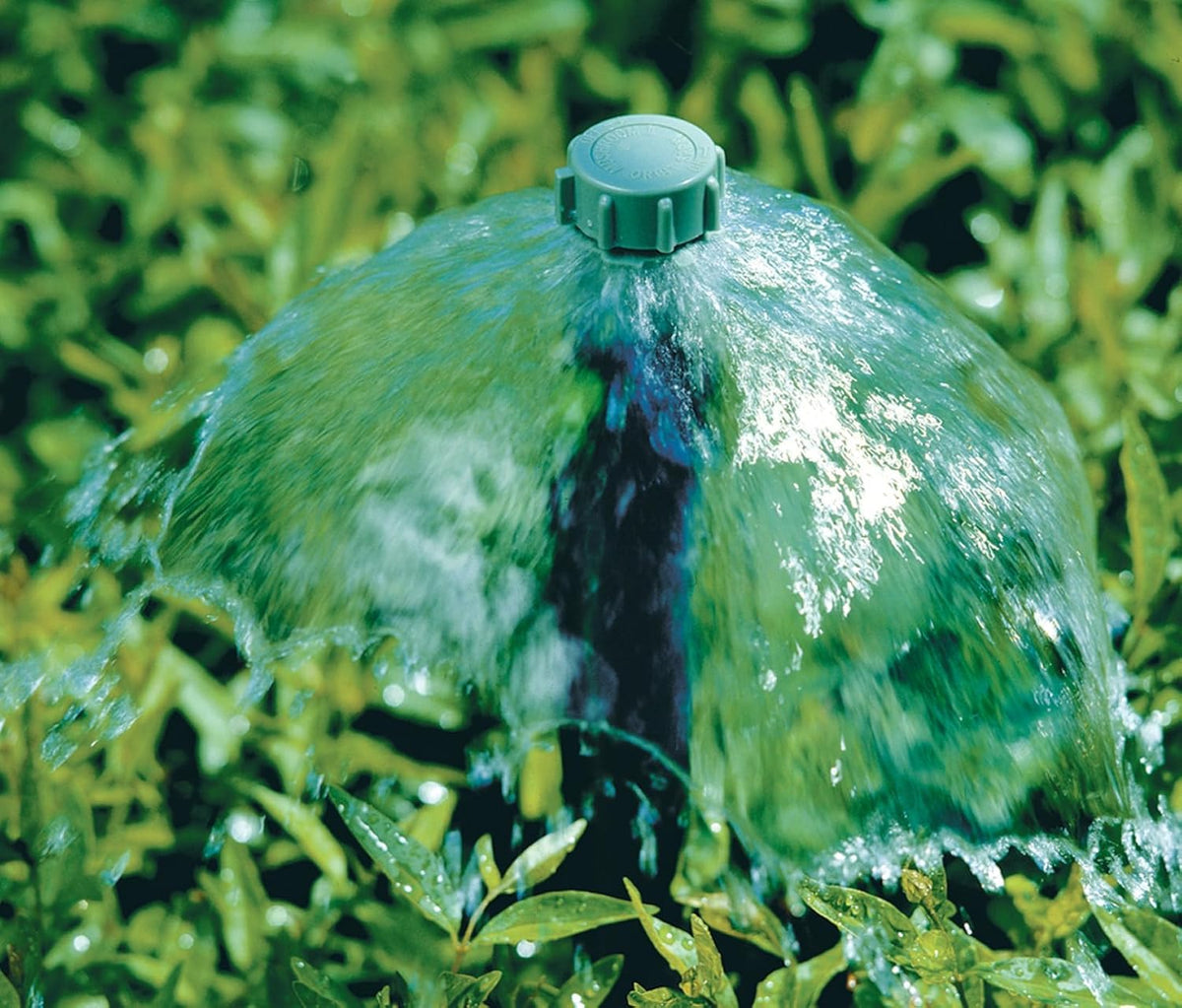 Orbit 54042 mushroom bubbler top view illustrating even distribution for shrubs