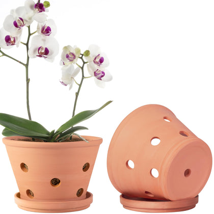 Orceler 8-inch terracotta orchid pot with holes promotes airflow for healthy roots.