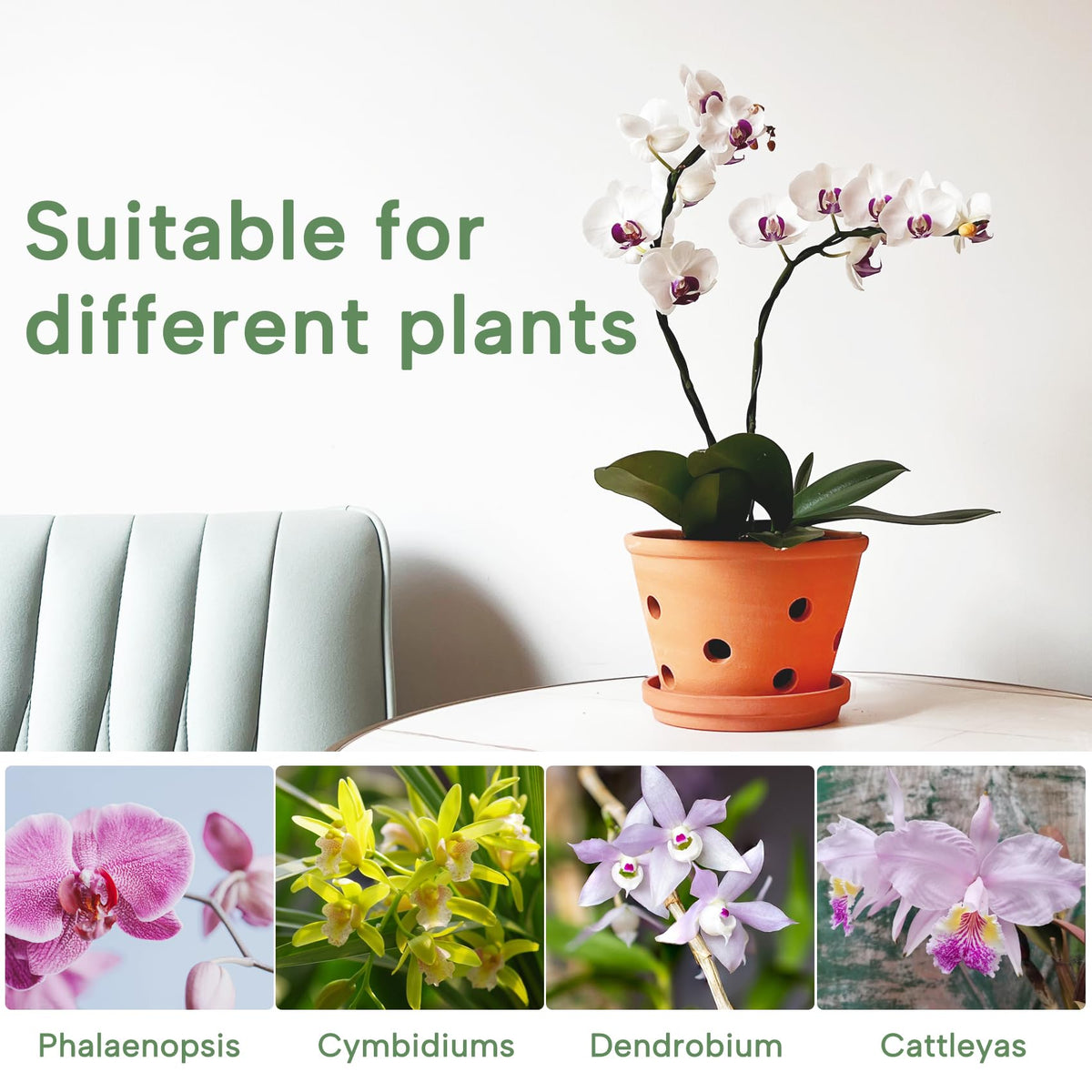 Orceler indoor-outdoor terracotta planter suitable for versatile placement.