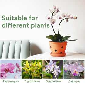 Orceler indoor-outdoor terracotta planter suitable for versatile placement.