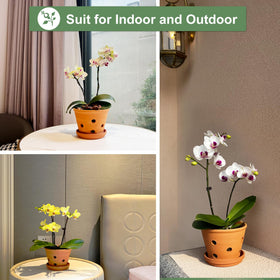 Orceler Phalaenopsis orchid pot in use for an elegant indoor display.