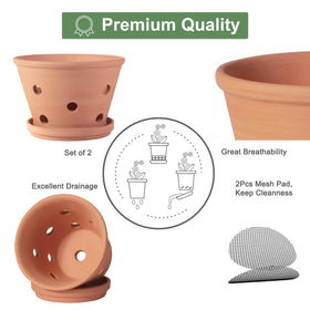 Orceler terracotta pot with drainage holes enhances water management for orchids.