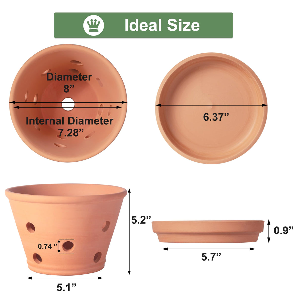 Orceler terracotta orchid pot with saucer included for clean indoor setups.