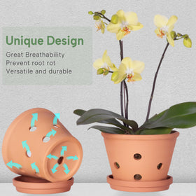 Orceler terracotta pot for orchids and other plants with versatile options.