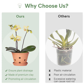 Orceler two-pack terracotta orchid pots simplifies repotting and plant care.
