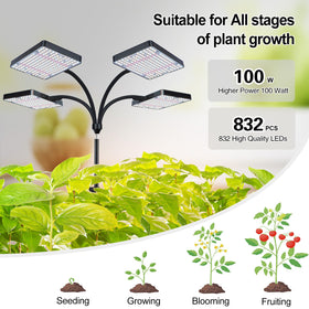 Orchbloom eye-friendly full-spectrum light for healthy growth