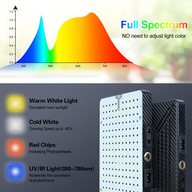 Orchbloom high-lumen output for vibrant leaves