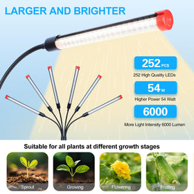 Orchbloom 60-degree spotlight focuses light on plant crowns.