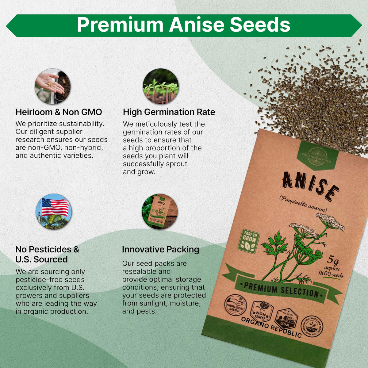 Organo Republic anise seeds germination test shows high viability