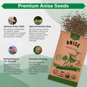 Organo Republic anise seeds germination test shows high viability