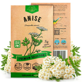 Organo Republic anise seeds pack 5g for home gardening and fresh herbs