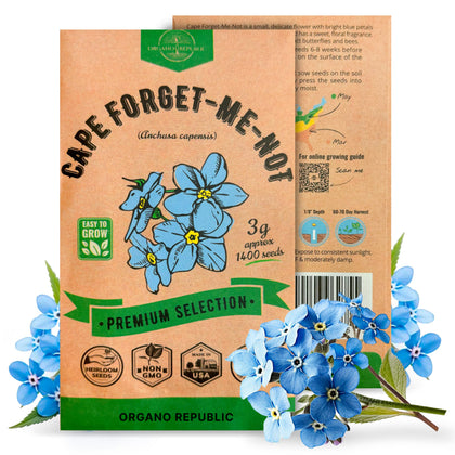 Organo Republic Cape Forget-Me-Not seed pack shows ready-to-plant blue blooms for a vibrant garden.