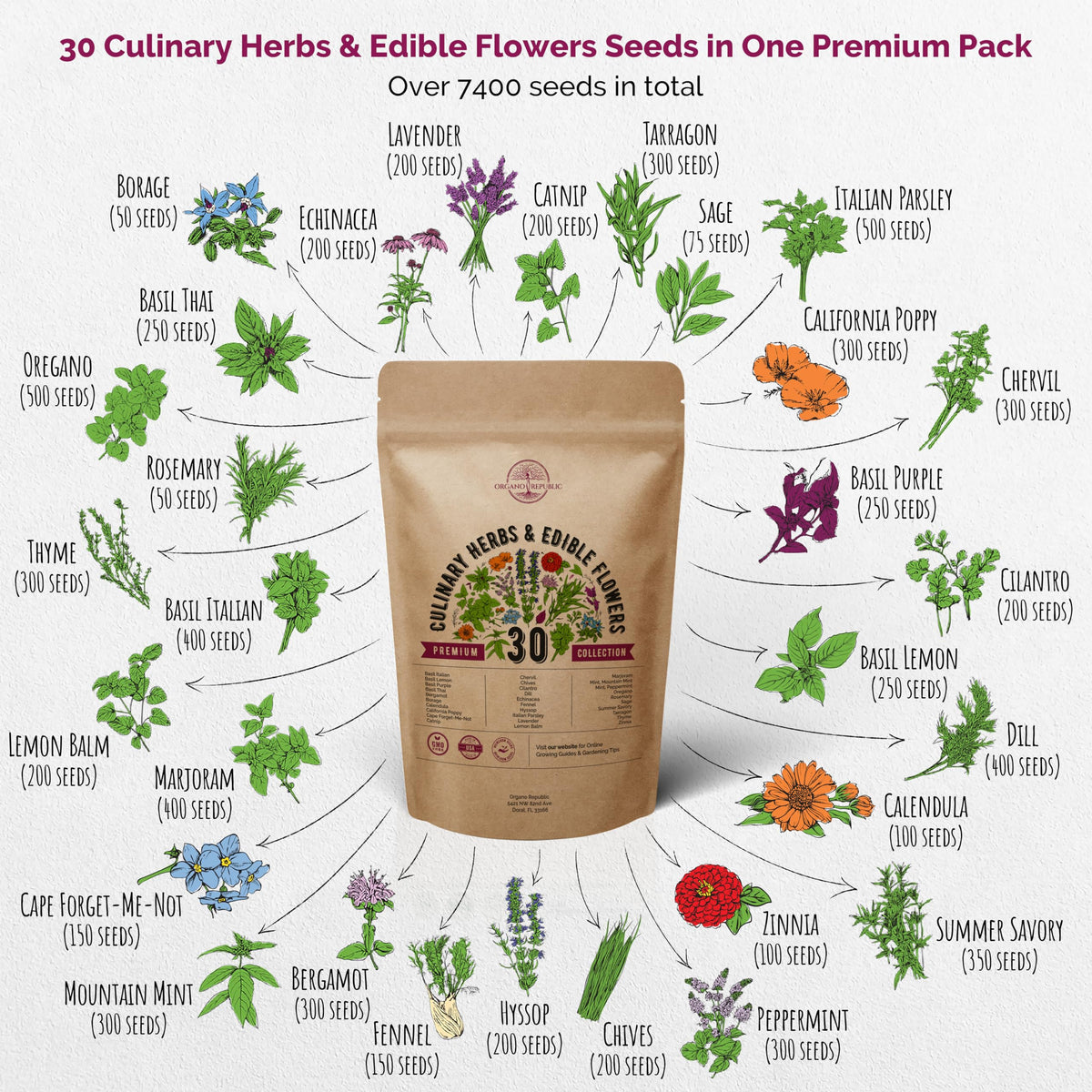 Organo Republic edible flowers seed pack featuring vibrant blooms for fresh dishes.
