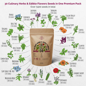 Organo Republic edible flowers seed pack featuring vibrant blooms for fresh dishes.
