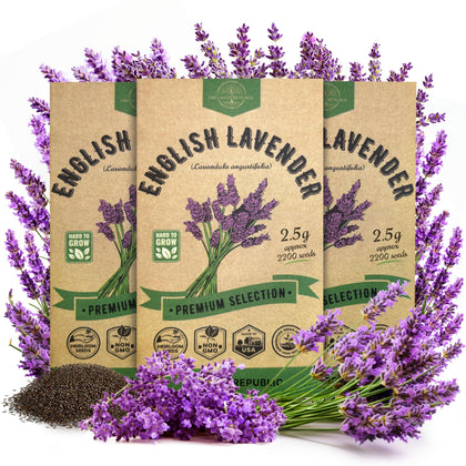 Organo Republic English Lavender seeds 3-pack seed packets for easy home gardening