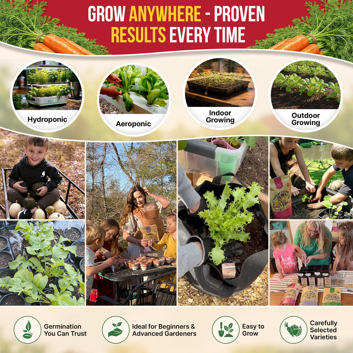 Organo Republic Imperator 58 seeds envelope includes a QR guide for growing tips.