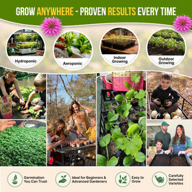 Organo Republic indoor-outdoor garden setup enables year-round harvest at home.