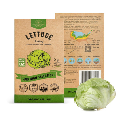 Organo Republic Lettuce Iceberg seeds pack front for easy home gardening