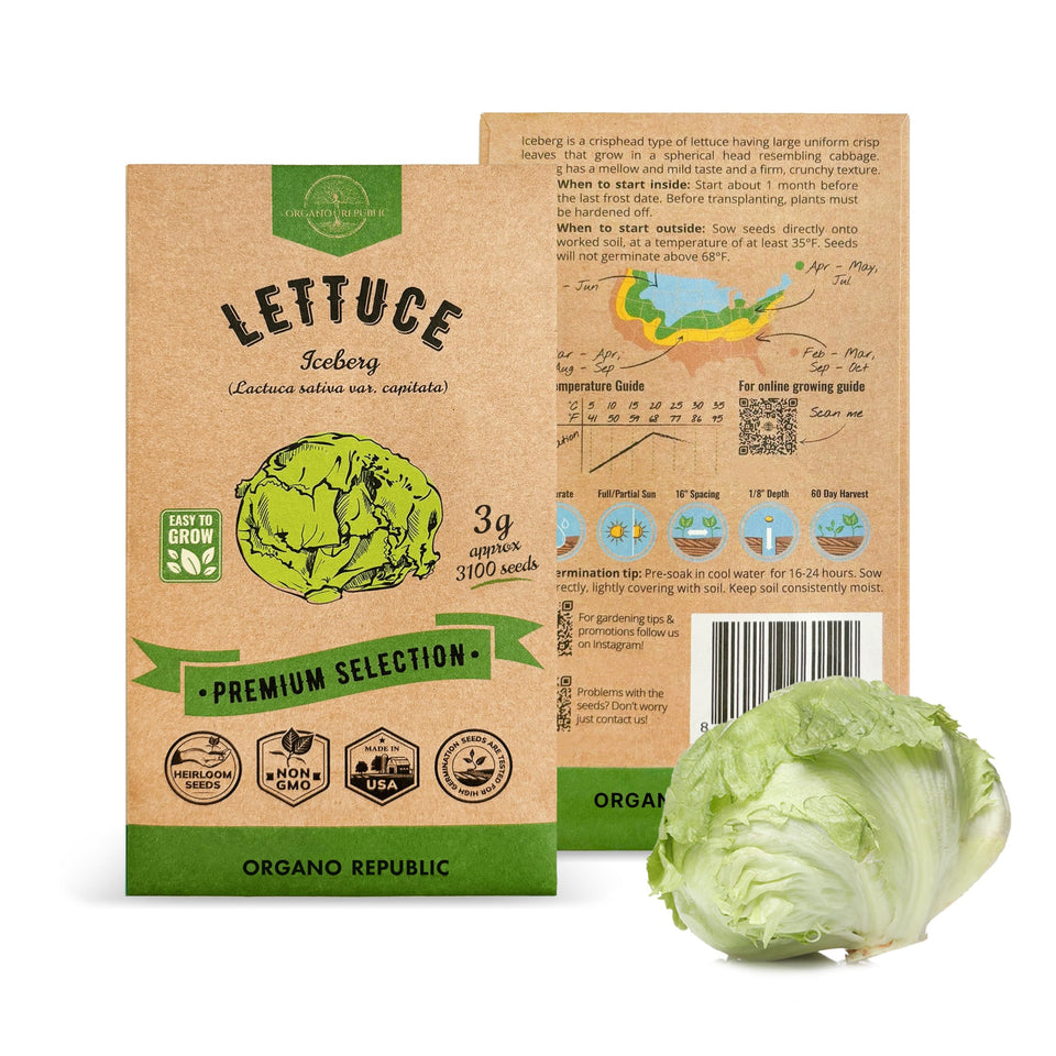 Organo Republic Lettuce Iceberg seeds pack front for easy home gardening