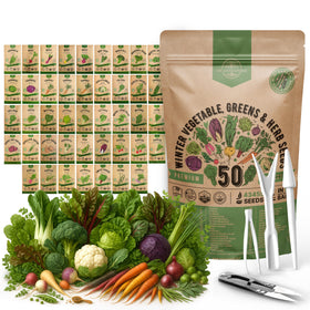 Organo Republic winter seeds pack with 50 varieties for year-round harvest