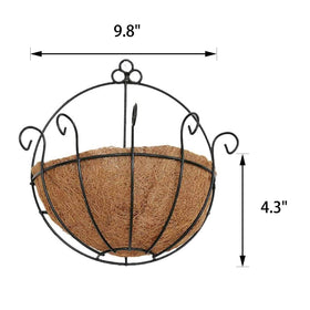 Orgrimmar metal wall hanging basket features coco coir liner for healthy moisture retention.
