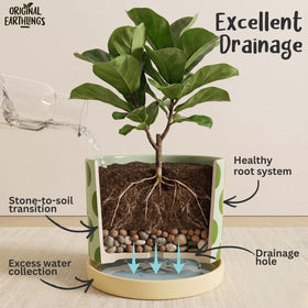 Original Earthlings planter close-up shows drainage hole for healthy roots.