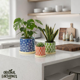 Original Earthlings ceramic planter with arches pattern enhances shelf display.