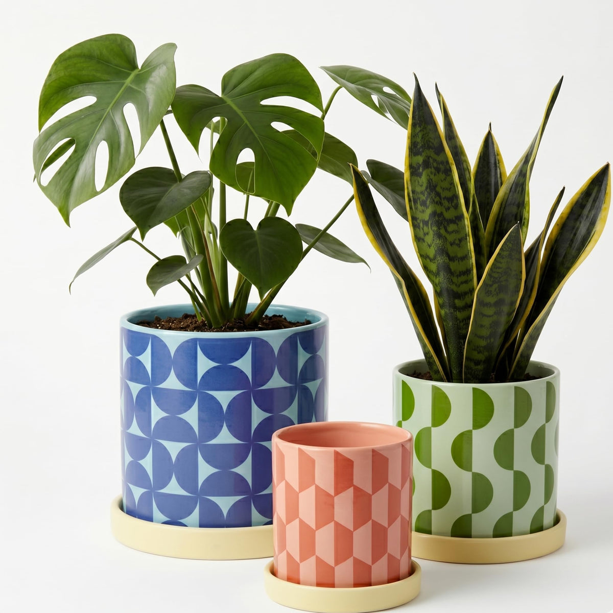 Original Earthlings ceramic planter with circles pattern, ideal for stylish indoor gardens.