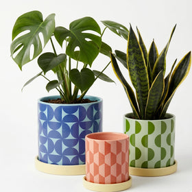 Original Earthlings ceramic planter with circles pattern, ideal for stylish indoor gardens.