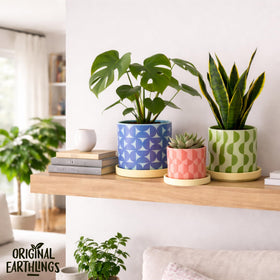 Original Earthlings ceramic planter featuring cube motif adds modern charm.