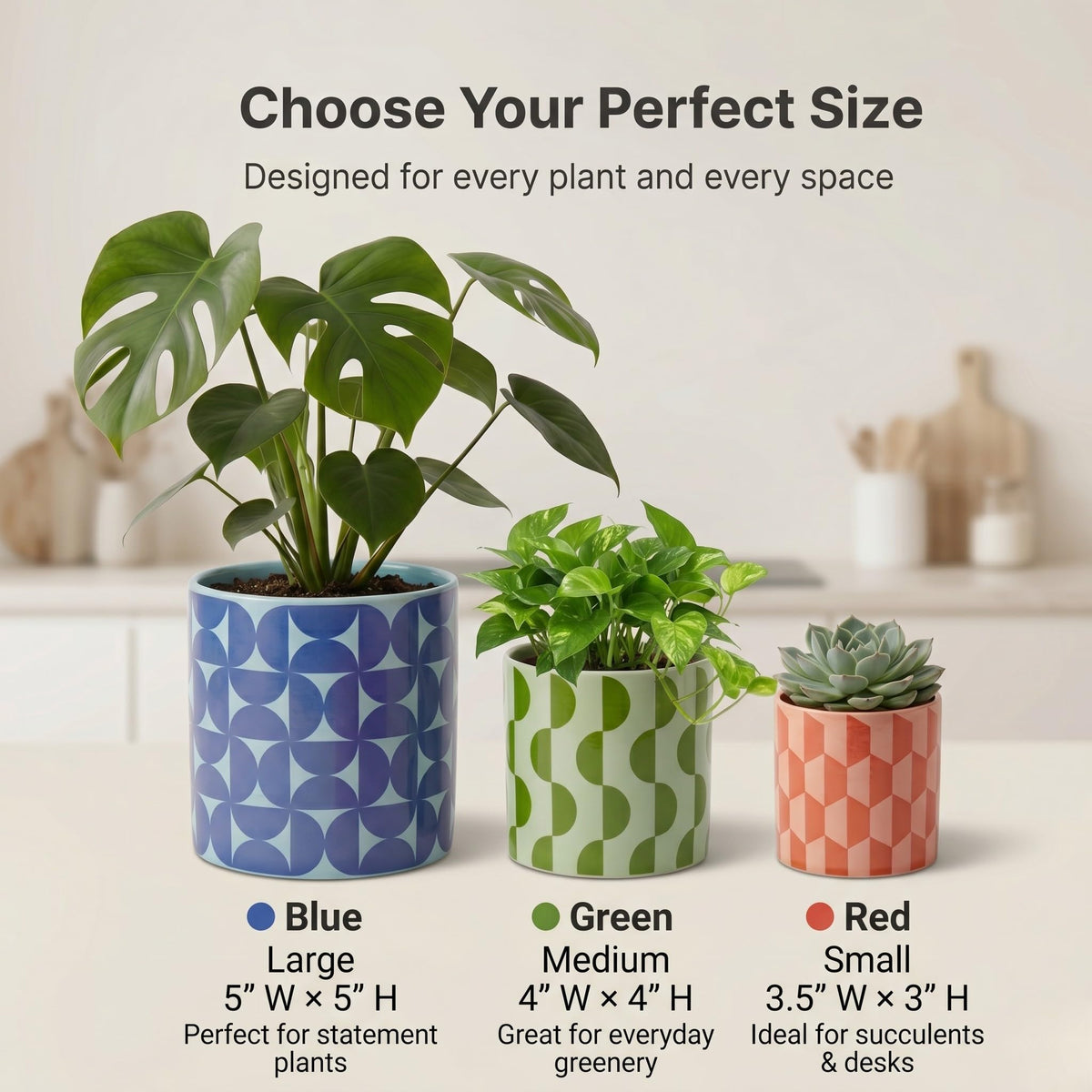 Original Earthlings ceramic planters set on shelf create cohesive decor.