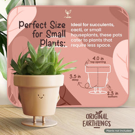 Original Earthlings plastic durable planter with drainage for easy plant care