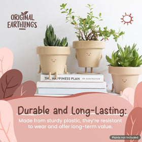 Original Earthlings small succulent face pot ideal for compact indoor gardens