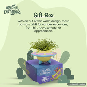 Original Earthlings UFO pot with built-in drainage to help plants thrive