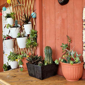 ORIMERC kitchen herbs planter with removable basket for easy plant swaps