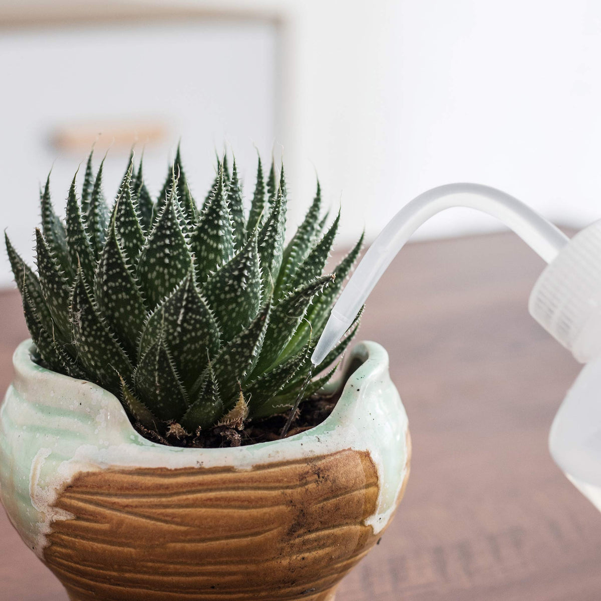 ORIMERC bent-spout design enables reach to root zones without splashing.