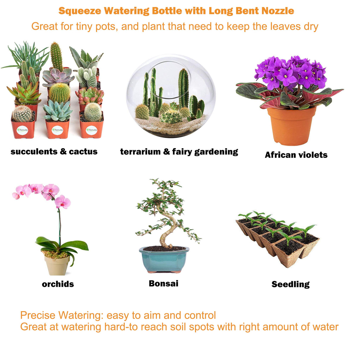 ORIMERC compact watering tool ideal for succulents and terrariums.