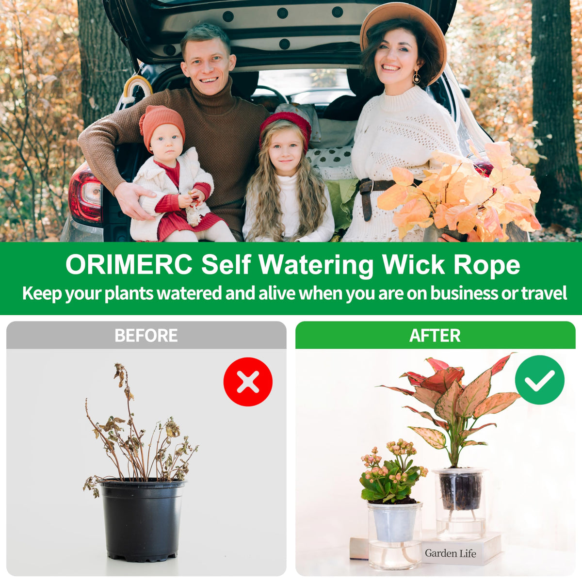 ORIMERC versatile basket for greenhouse and windowsill gardening