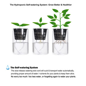 Orimerc net cup designed for hydroponics and aquaponics systems.