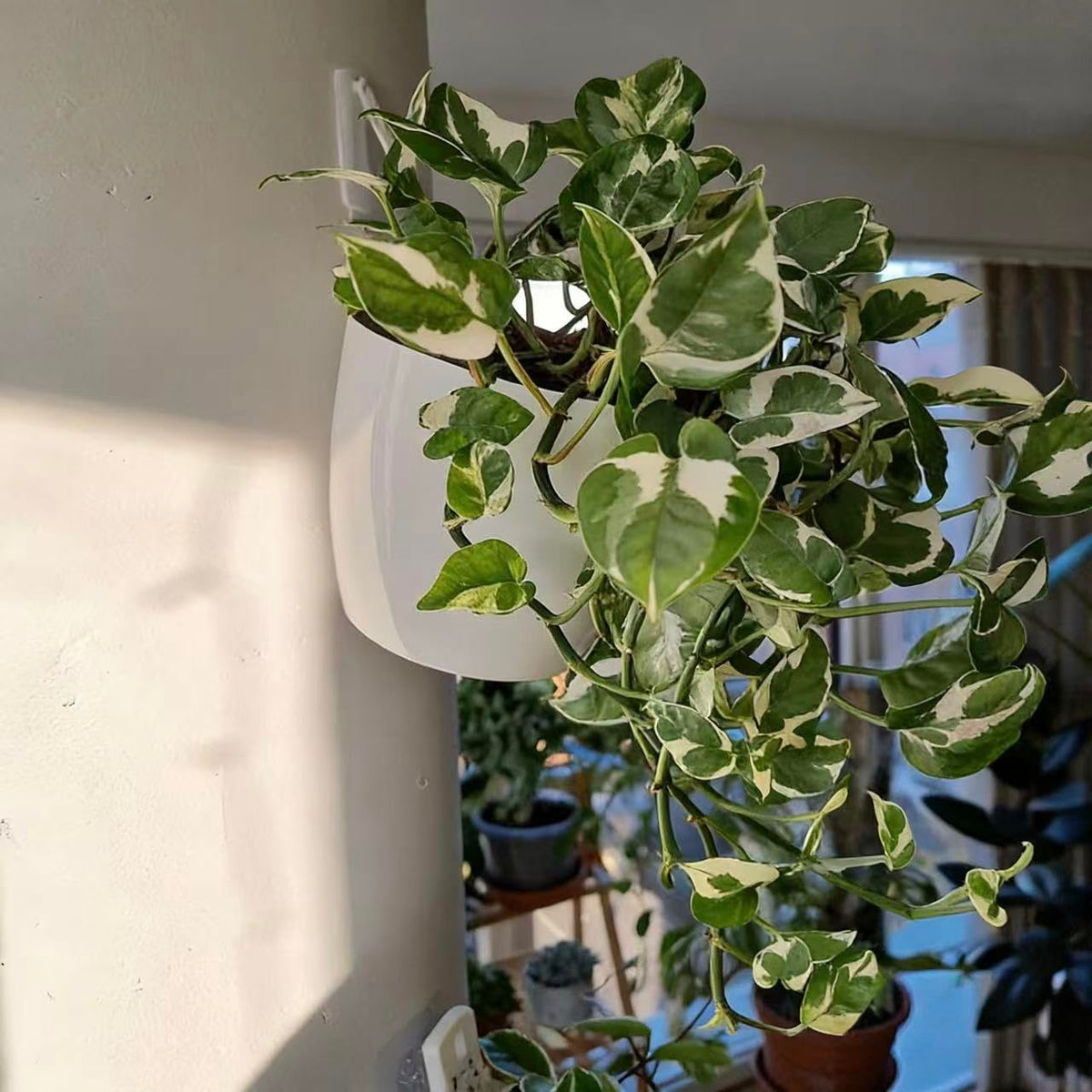 ORIMERC vertical garden hanging planter shown in compact setup for small spaces