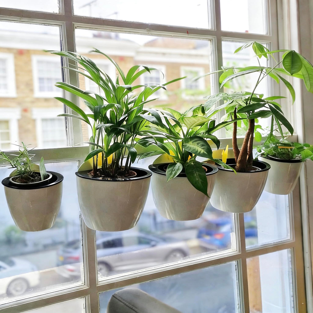 ORIMERC window-hang mount planter ideal for sunlit herbs and greens