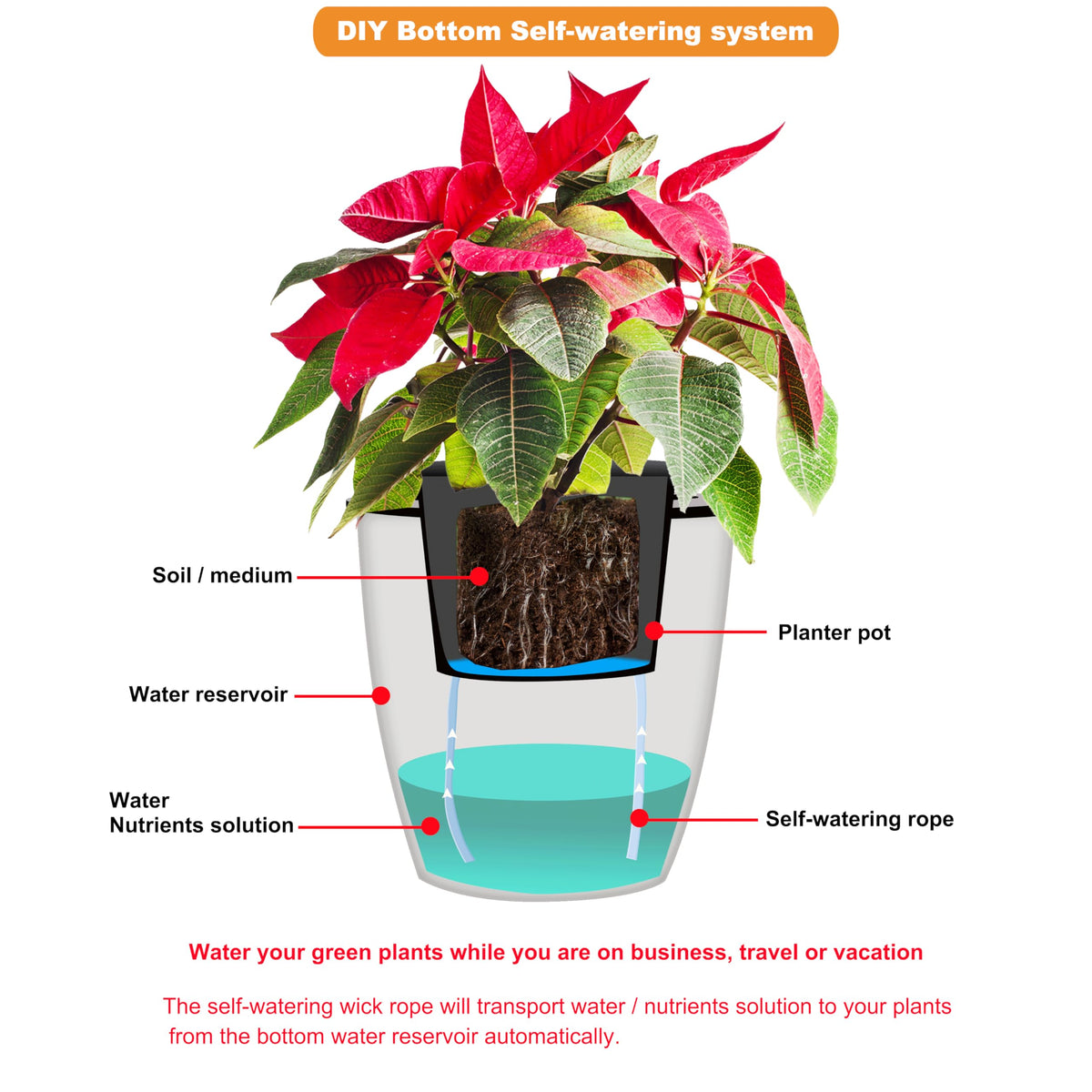 ORIMERC works with plastic, ceramic, and clay pots.