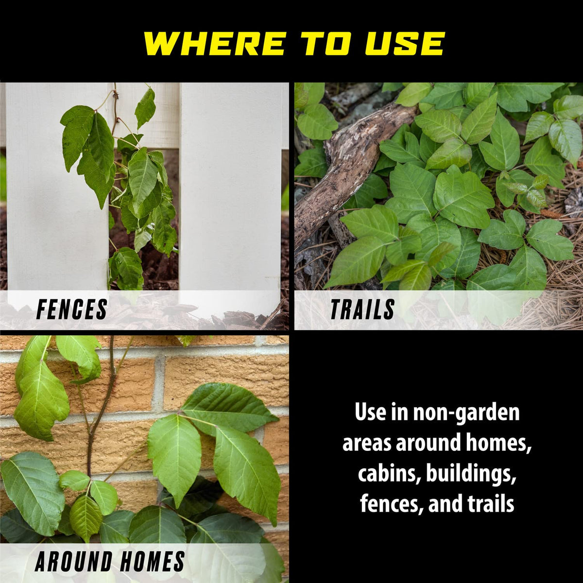 Ortho GroundClear Poison Ivy & Tough Brush Killer2 browning results within hours.
