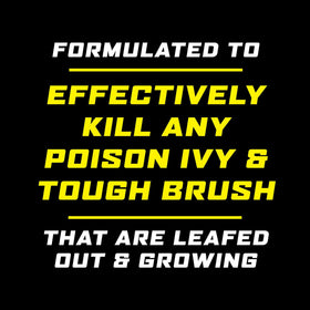 Ortho GroundClear Poison Ivy & Tough Brush Killer2 leaf-out application targets actively growing weeds.