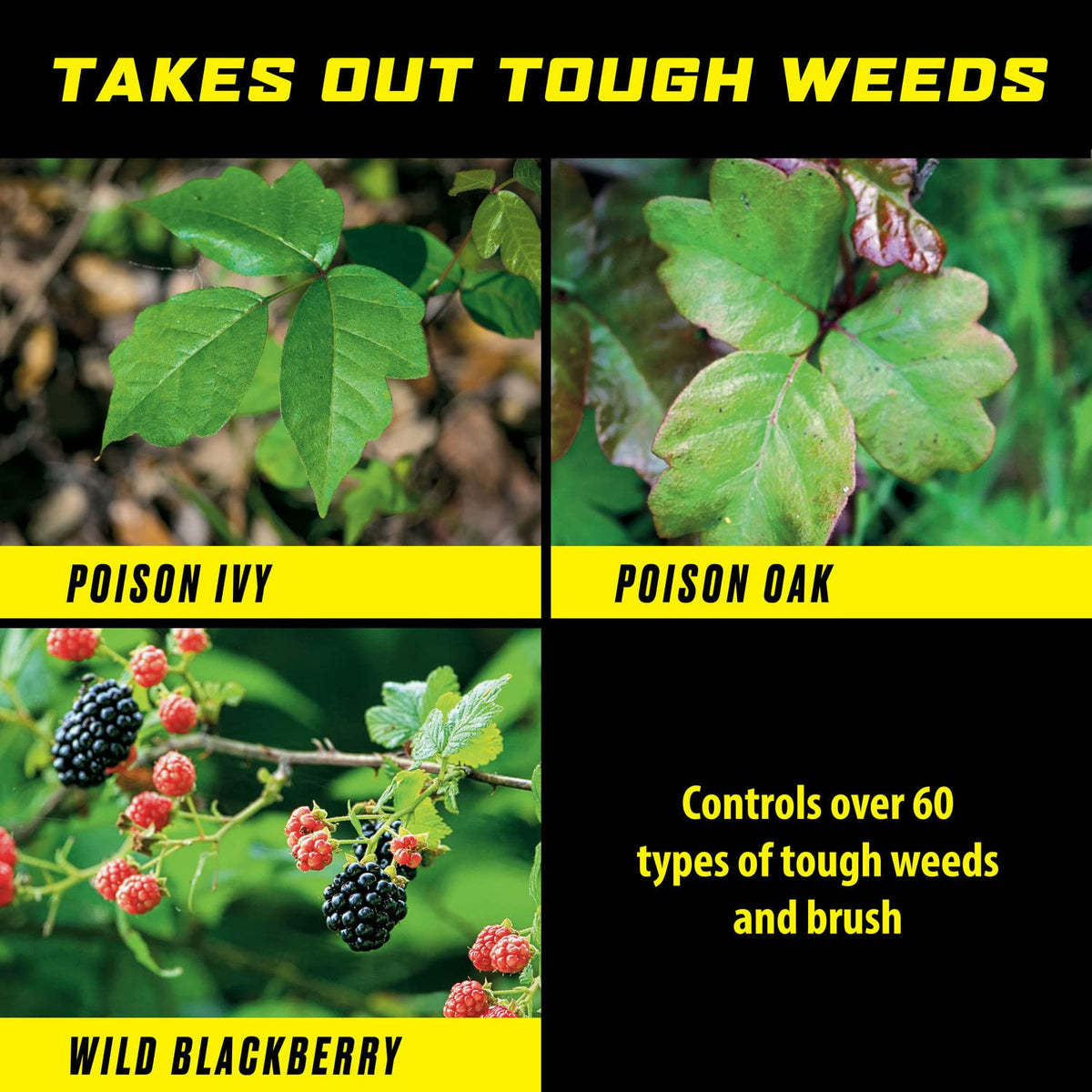 Ortho GroundClear Poison Ivy & Tough Brush Killer2 pour shows quick on-contact application.